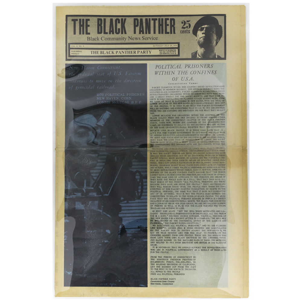 Black Panther -- Vol. 4, #3 -- [Magazine]