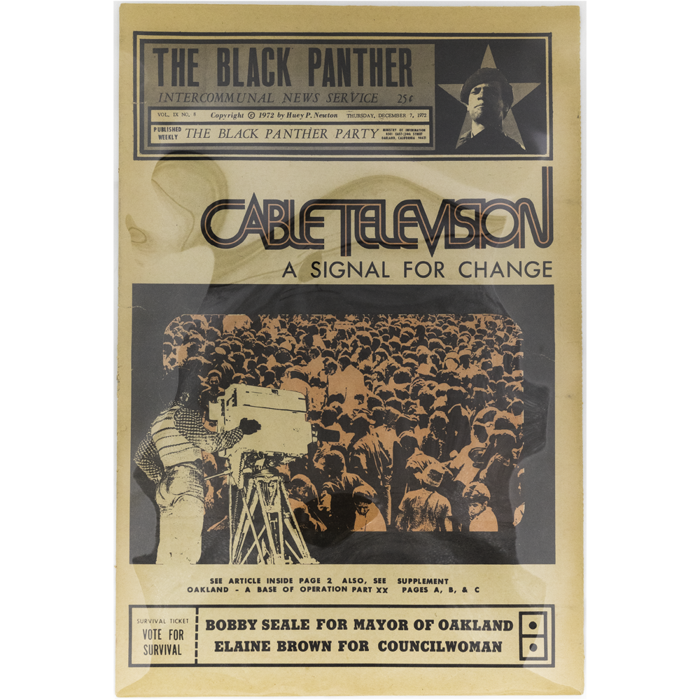 Black Panther -- Vol. IX; #8 [Magazine]