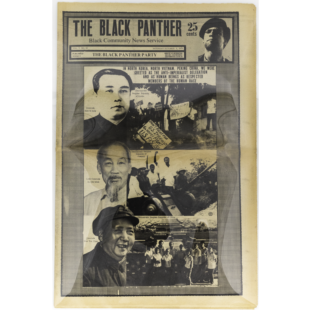 Black Panther -- Vol. V, #14 [Magazine]