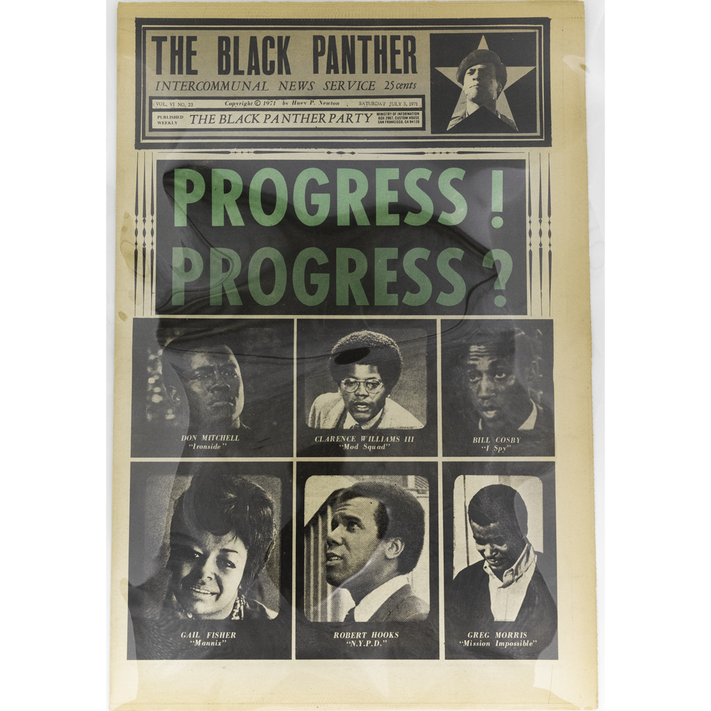 Black Panther -- Vol. VI, #23 [Magazine]